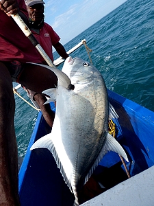 Big fish catched by a popper  in the Mozamique Channel