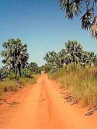 Madagascar laterite track